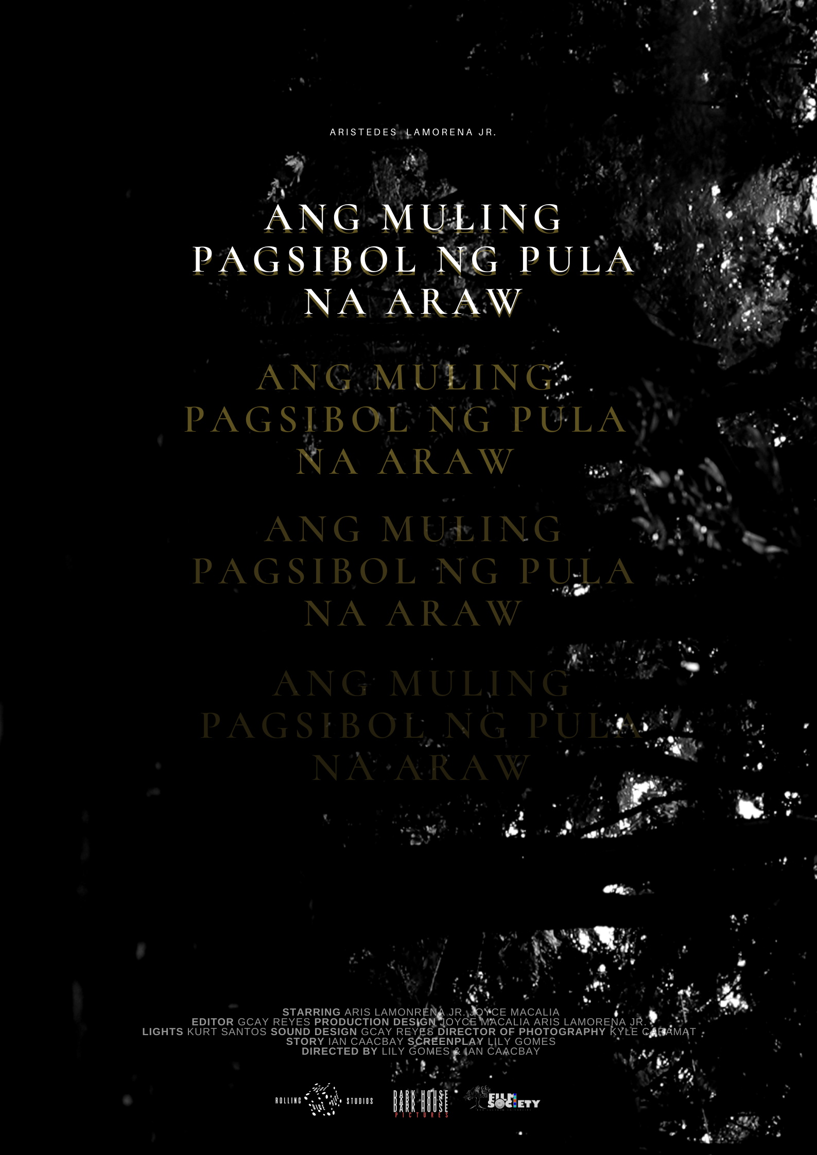 ANG MULING PAGSIBOL POSTER LAST NA