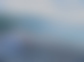 You Can Overcome Challenges, Anybody Can : Notes From a Young Storyteller's Pandemic Journal