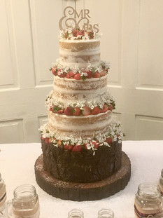 Streawberry Lady on top of Chocolate Birch