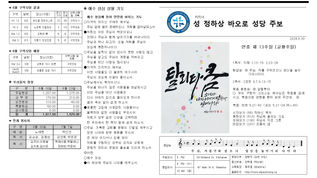 연중 제13주일(교황주일)