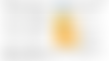 주님 성지 주일