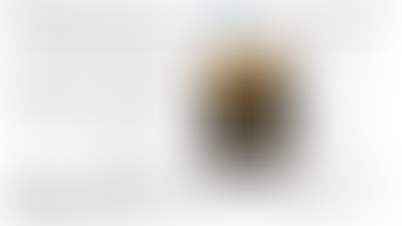 주님 공현 대축일