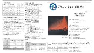 연중 제32주일(평신도주일)