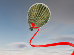 Cactus_Balão_1R
