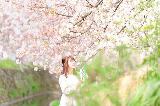 ゆりの sakura