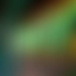 Crafting Effective Local Business Ads