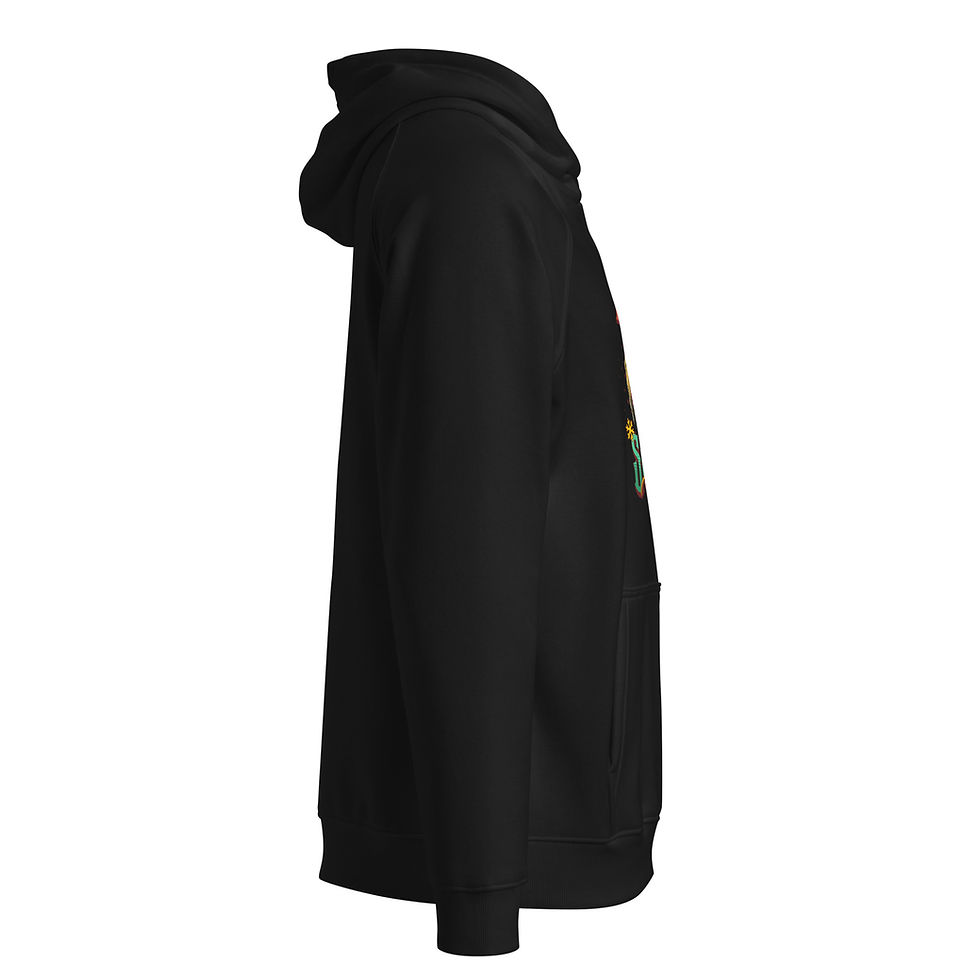 Thumbnail: Suwannee Lights™ Unisex eco raglan hoodie