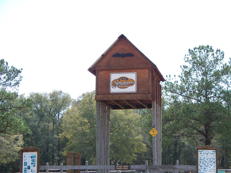 Spirit - Bat House.jpg