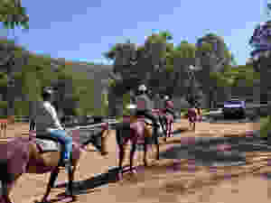 Horse riding Mudgee