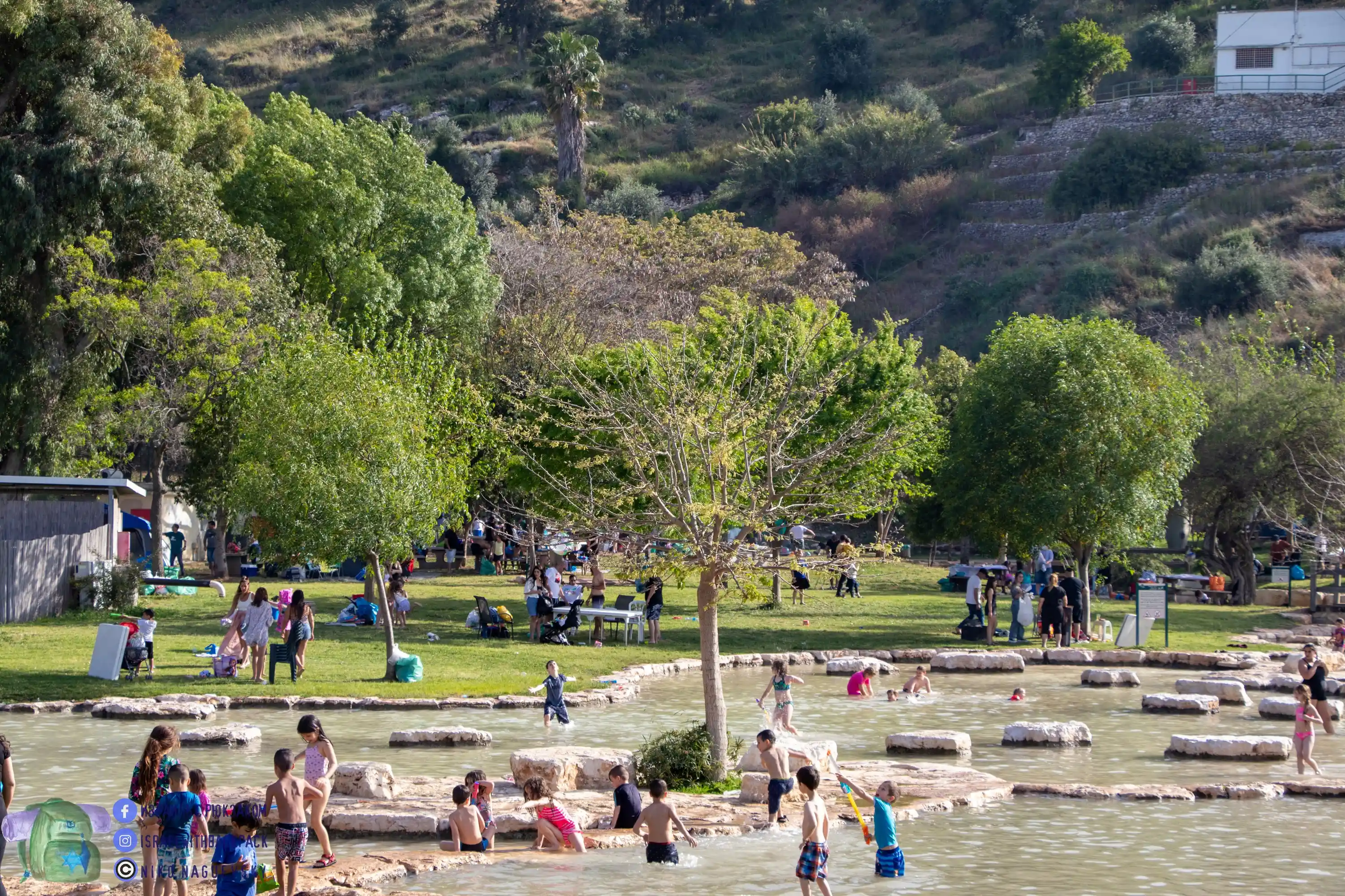 зеленые лужайки бассейны и отдыхающие люди в Мааян Харод