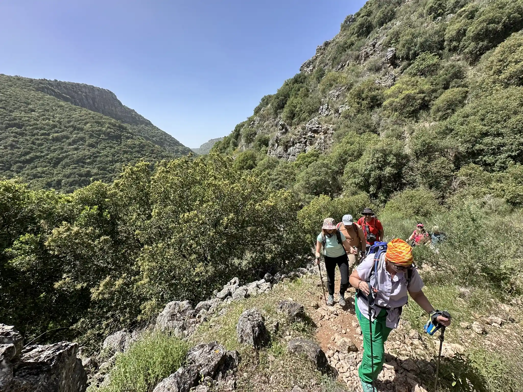 туристы поднимаются по тропе