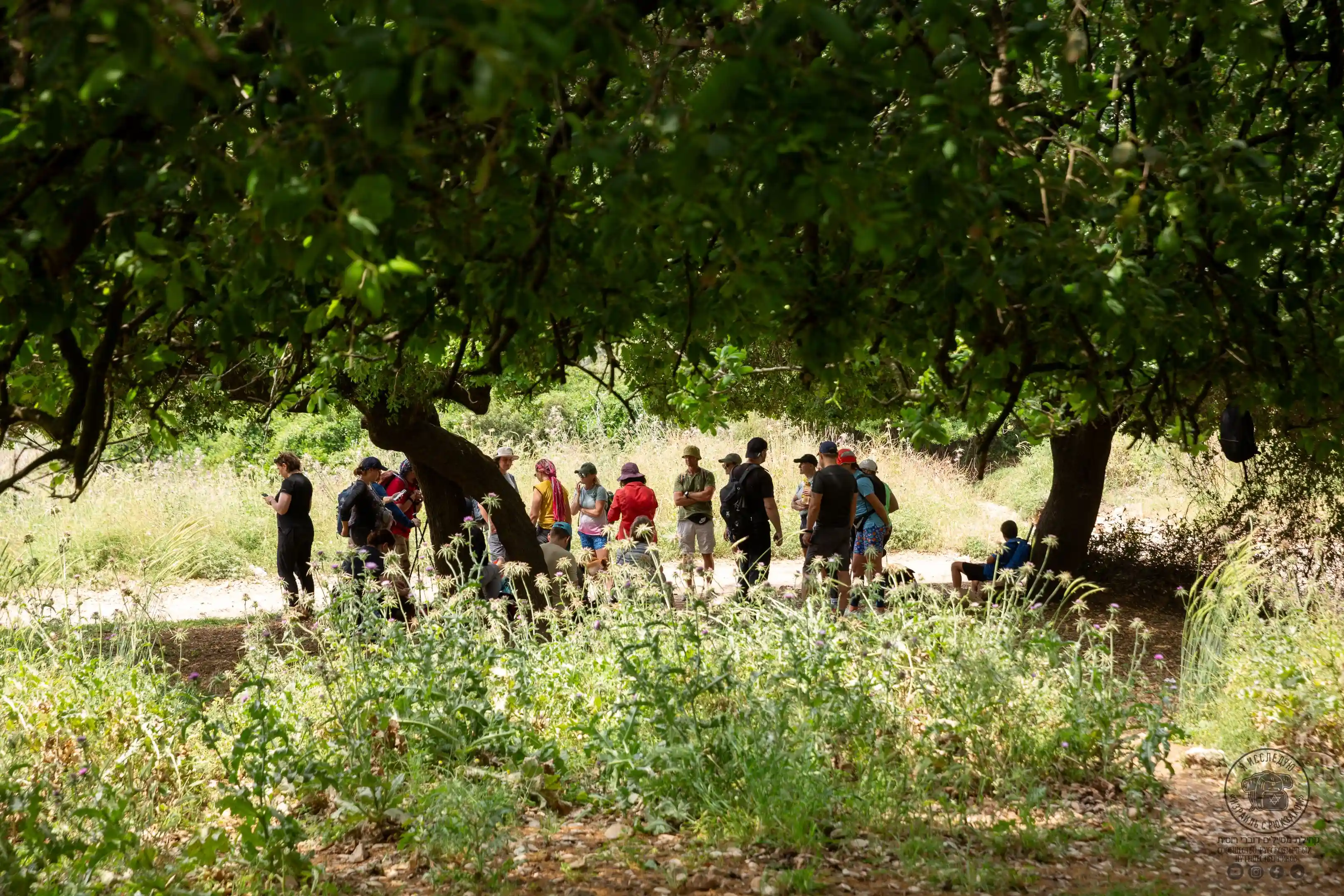 группа туристов на привале в тени деревьев