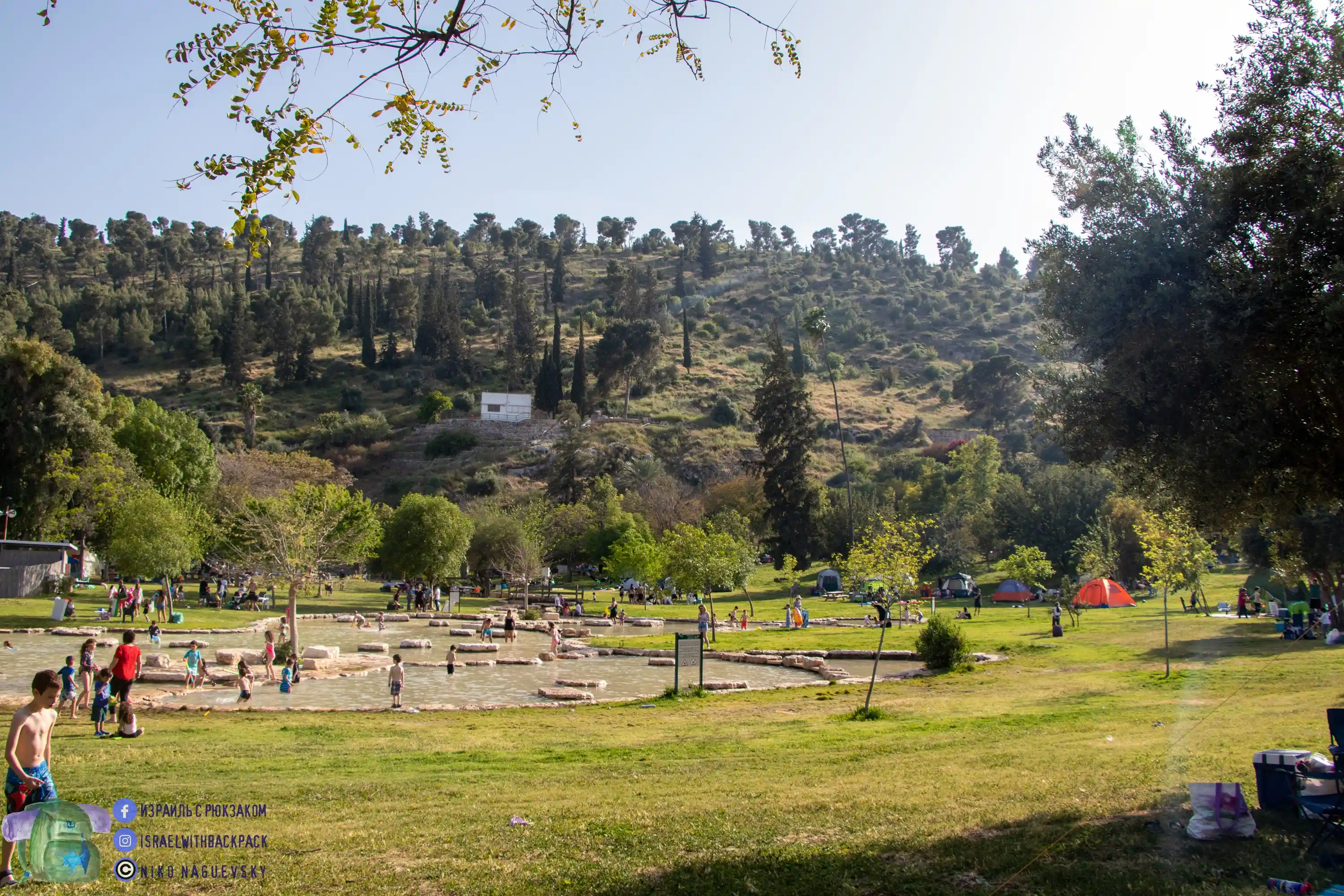 зеленые лужайки и отдыхающие люди в Мааян Харод