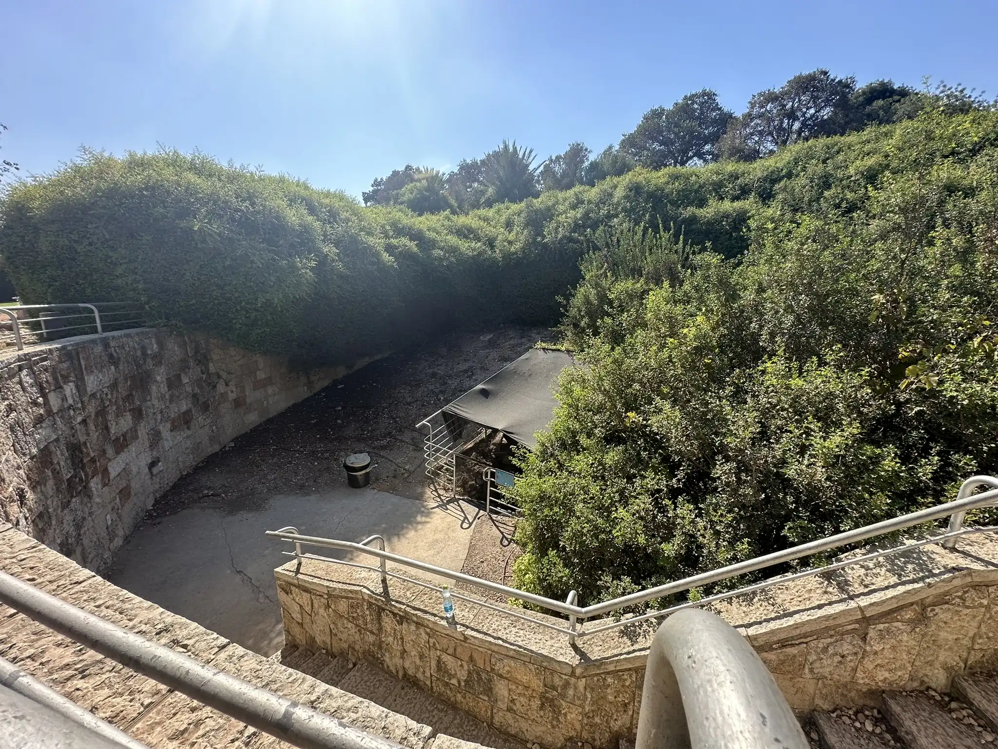 вход в подземелья среди кустарника