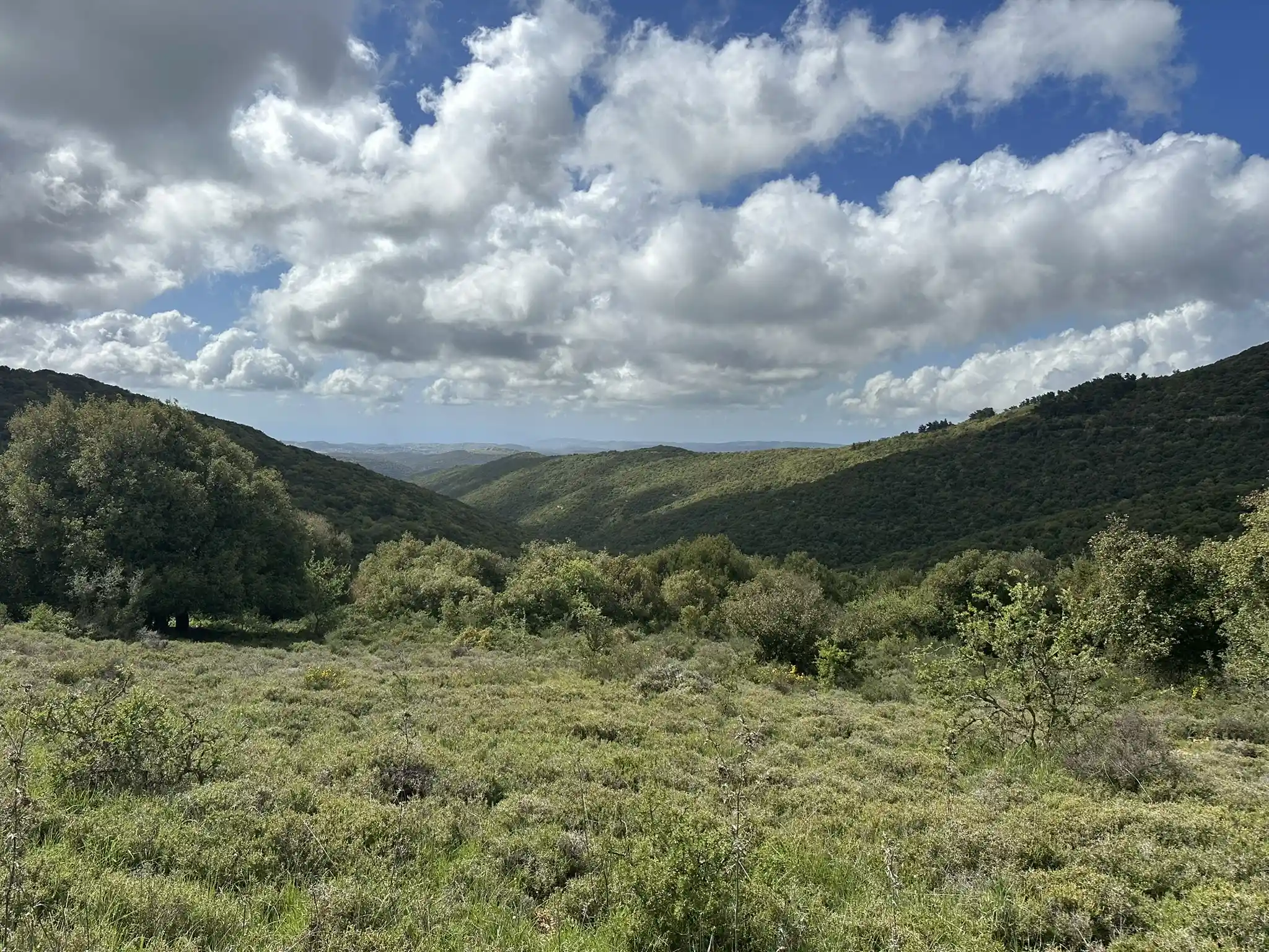 вид на красивые зеленые холмы и облака