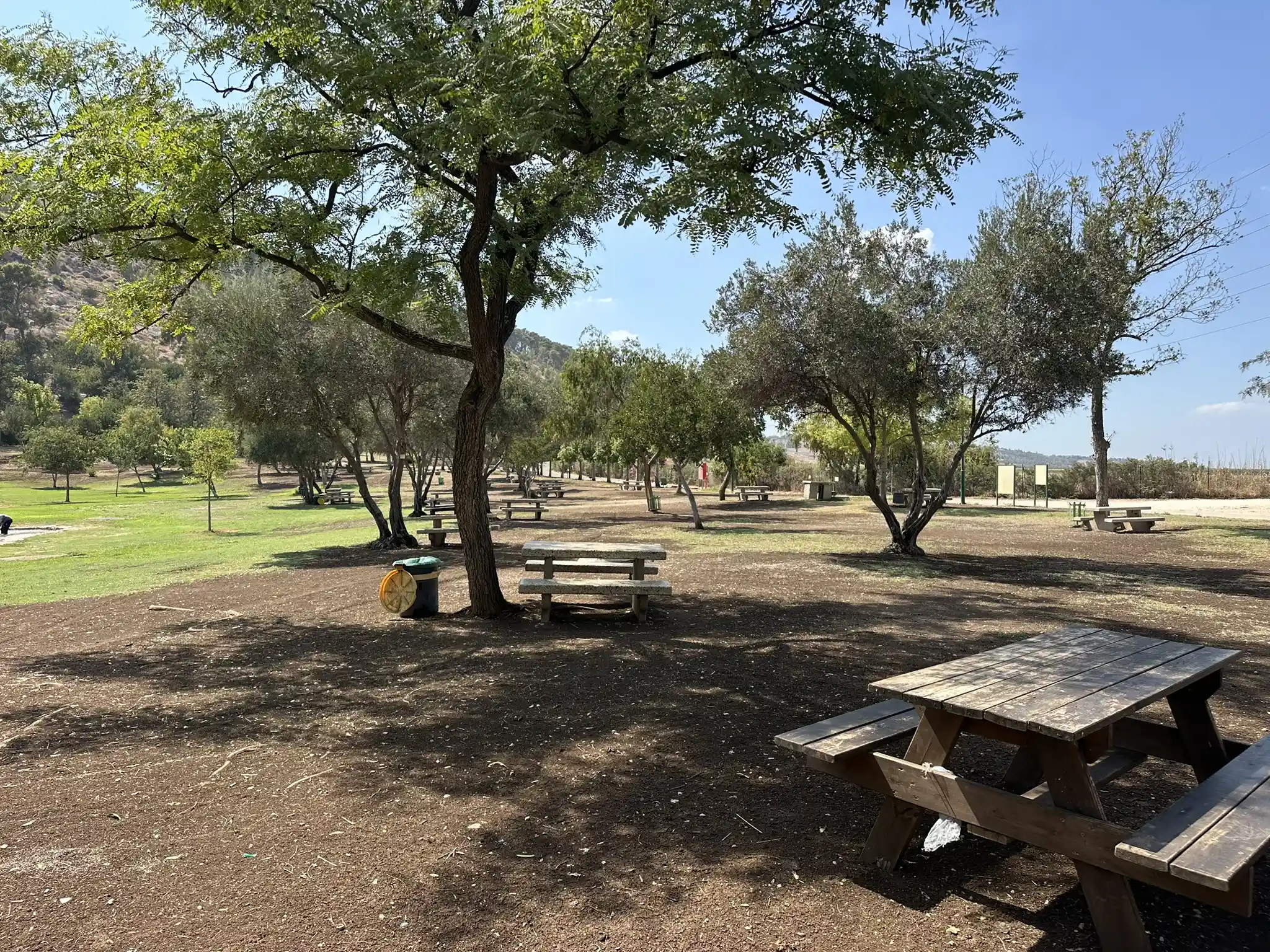 Столики и деревья в Мааян Харод