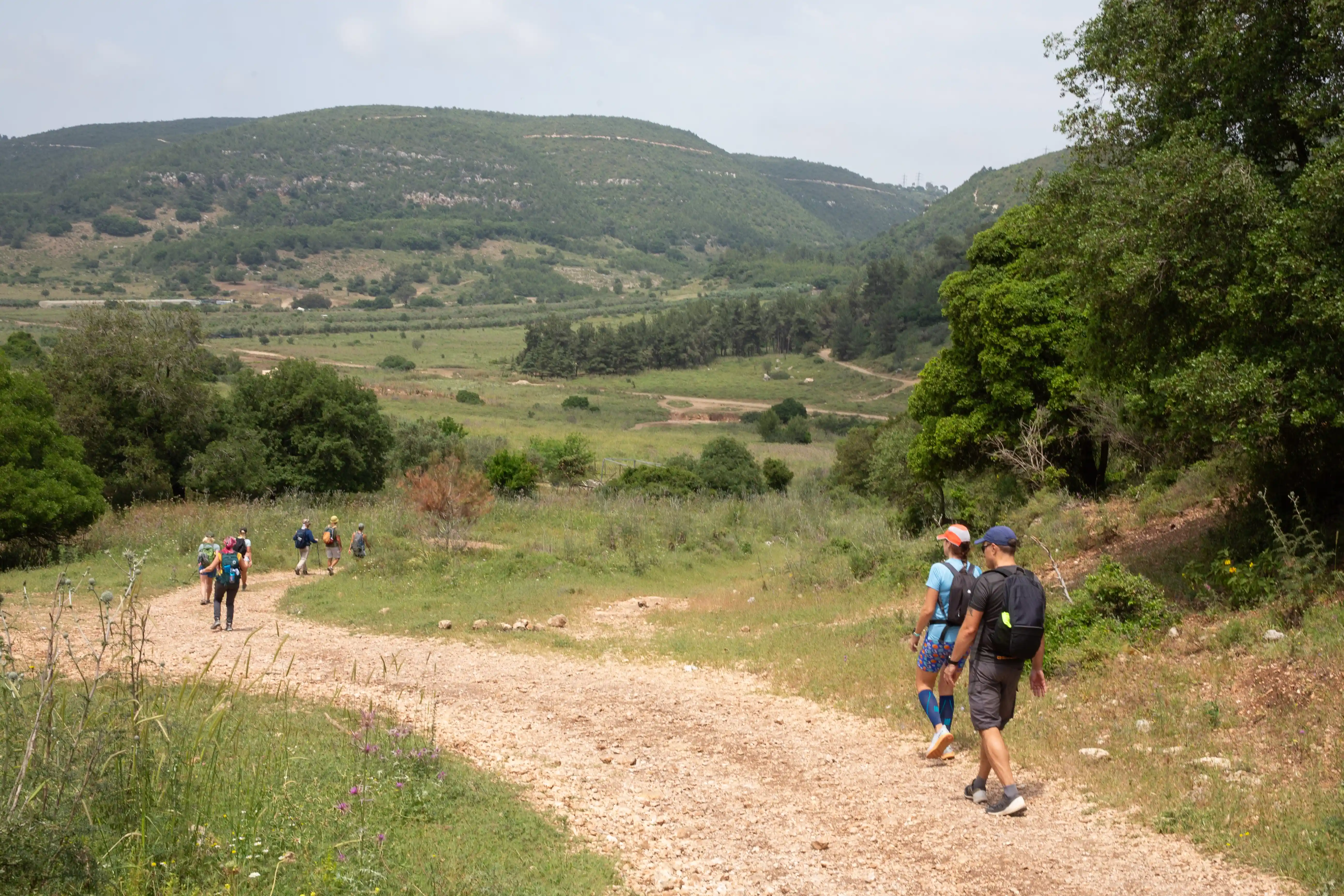 туристы идут по грунтовке на фоне холмов