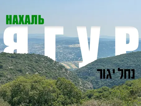 Нахаль Ягур. Вид на ущелье с горы Кармель.