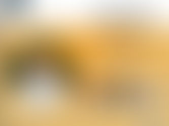 Notícias das PICS no SUS - Semana do dia 21 de Março de 2022