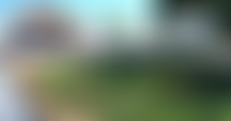 Notícias das PICS no SUS - Outubro de 2022