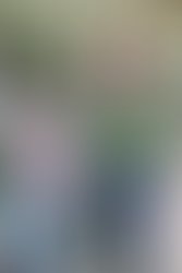 Notícias das PICS no SUS - Semana do dia 14 de Fevereiro 2022