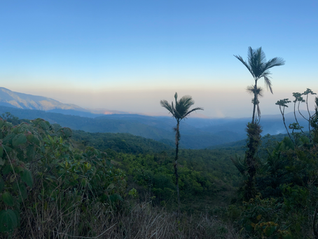 Fire and cloud forests in Cachote