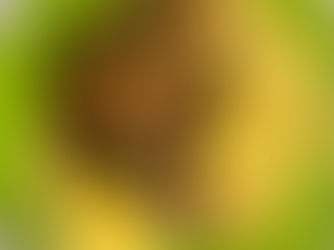 Курица с маслинами и лечо