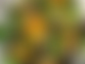 Салат со свеклой и мандаринами