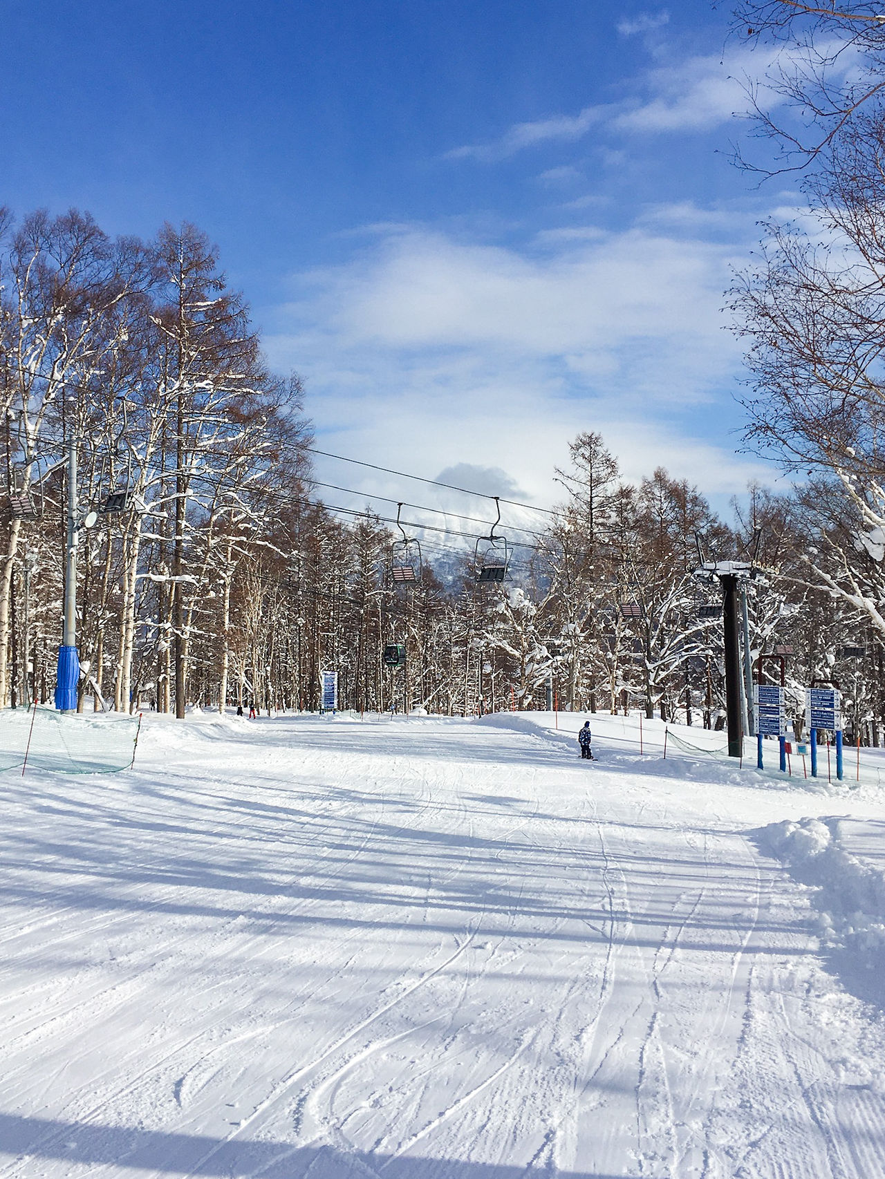 A snowboarder goes down a flat ski slope covered in snow and surrounded by leafless trees in Niseko, Japan