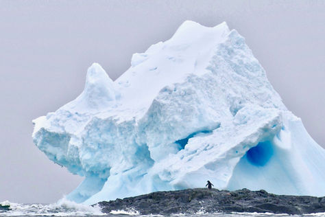 The Seventh Continent - Life at the Bottom of the World
