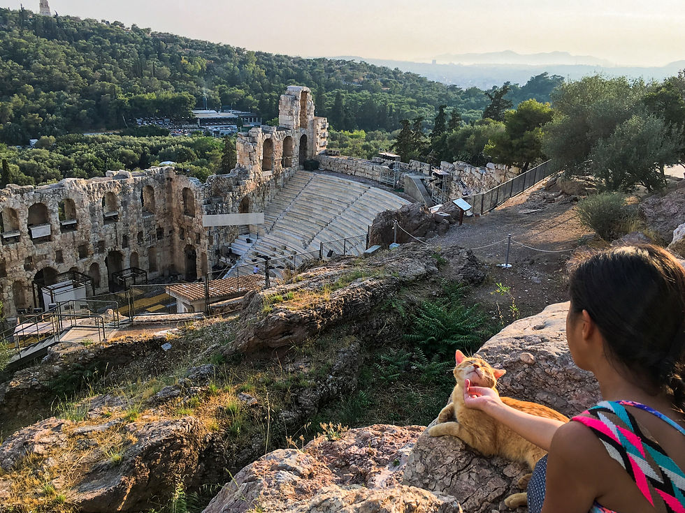 Eryn petting a cat sitting on a rock overlooking the Odeon of Herodes Atticus at the Acropolis of Athens with green mountains in the background