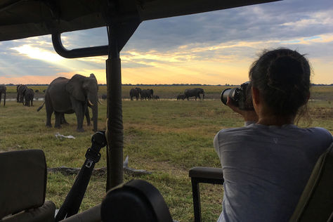 Into Chobe National Park - On Safari in Botswana