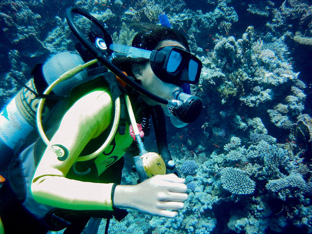 Scuba Diving in the Egyptian Red Sea Eryn On Earth