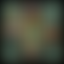 Reflexiones de un Buscador...