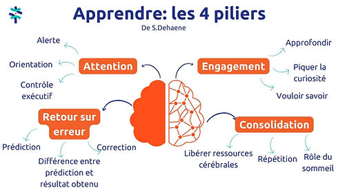 4 pilliers apprentissage.jpg