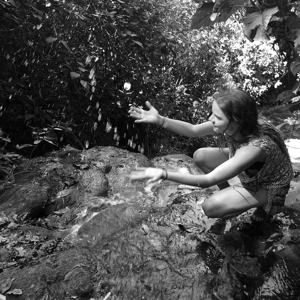 La historia de un proceso creativo.