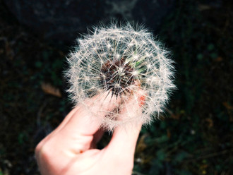 The Best Bits of Self-Employment