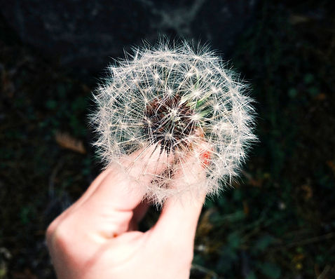 Hypno-Coaching, Hypnose