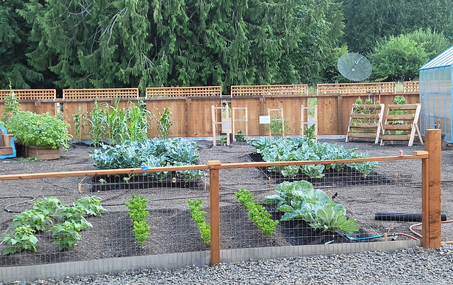 Garden Young