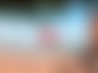 Explorando el Paraíso: Puerto Viejo, Costa Rica