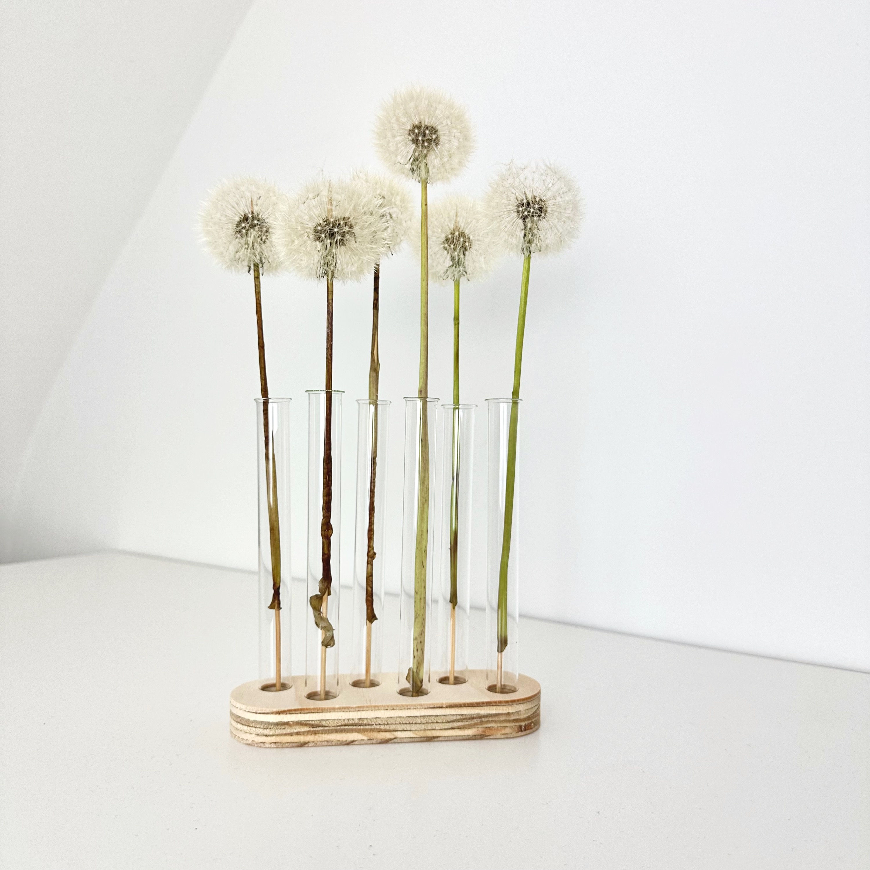 Porte-fleurs avec 6 vases éprouvettes