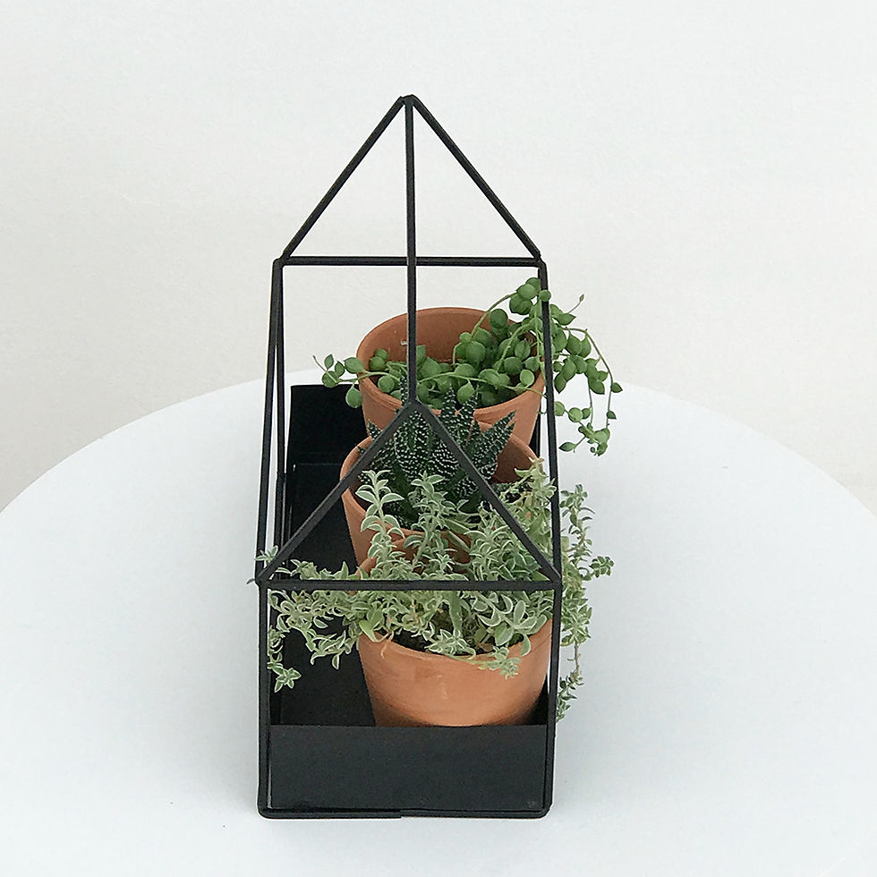 Thumbnail: Porte-plante en métal noir en forme de maisonnette avec pots terracotta aperçu de côté