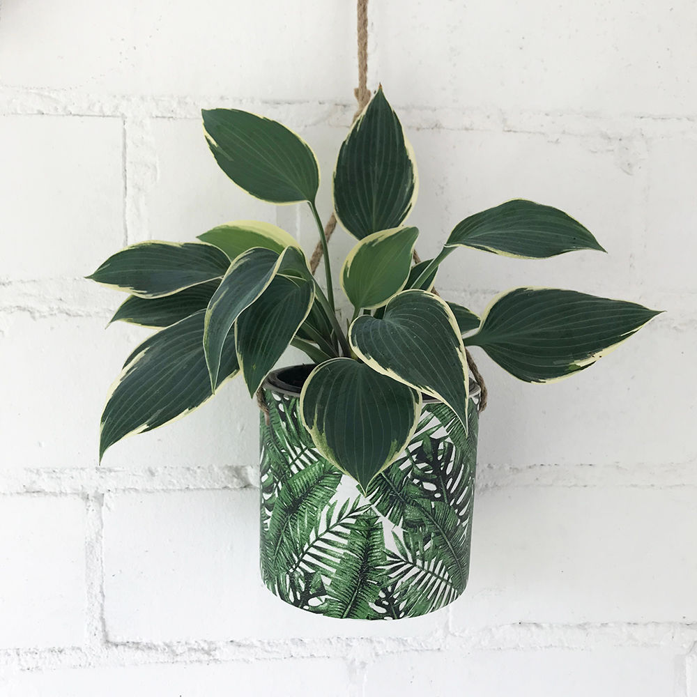 Cache pot à suspendre - motif feuilles de palmier