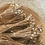Thumbnail: bouquets de capsules de coquelicots