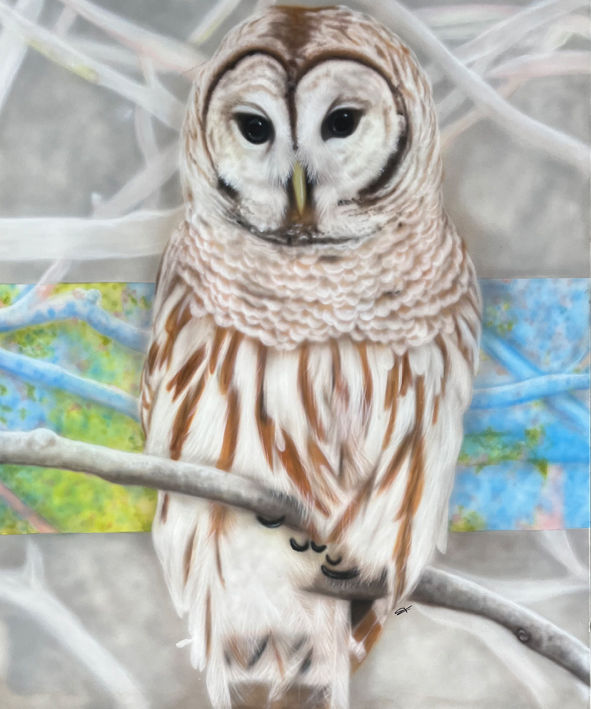 "Boris" by Teresa Franks