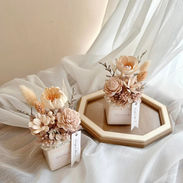 米色系乾燥小桌花