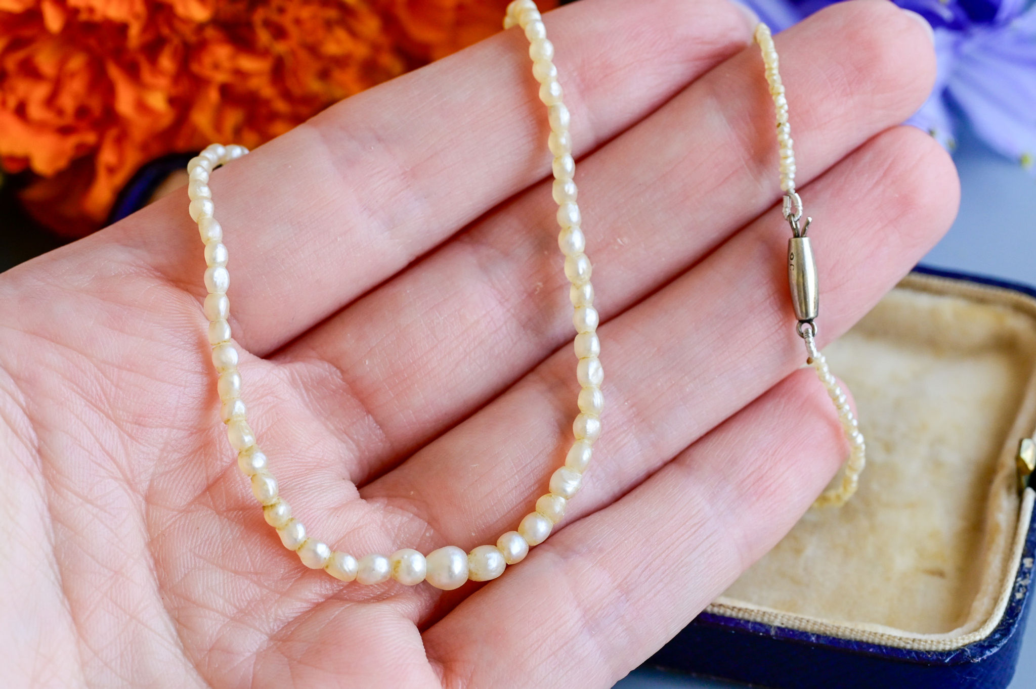 Antique Victorian graduated natural pearl choker 9 carat gold barrel clasp