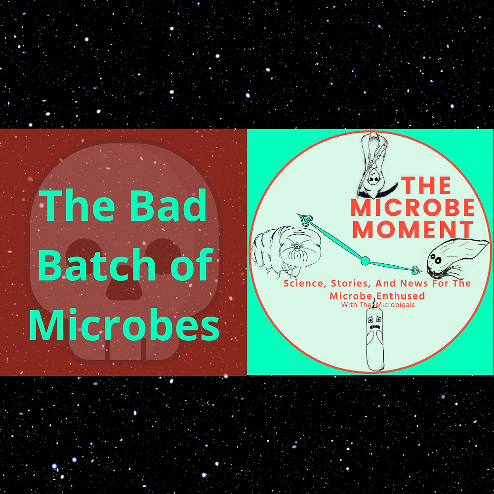 Title Image: The Bad Batch of Microbes and the Microbigals Logo