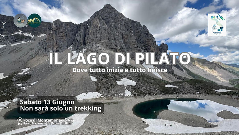 Aggiungi un titolo (4).jpg