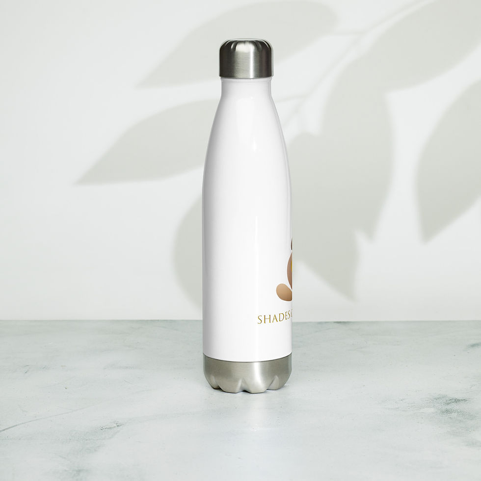 Thumbnail: Maternal Health Stainless steel water bottle copy